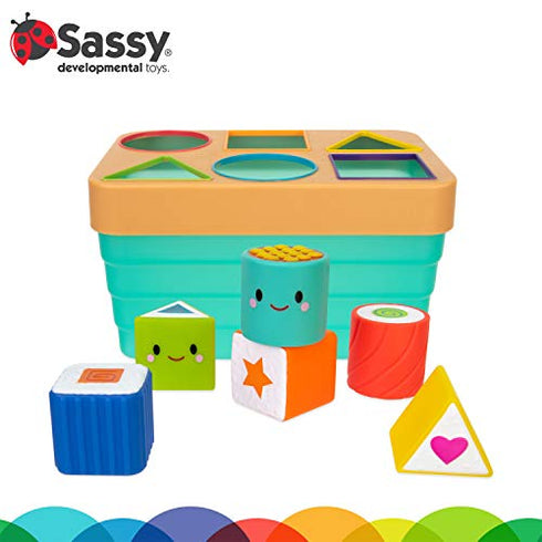 Sassy Sushi Sorter, Multi
